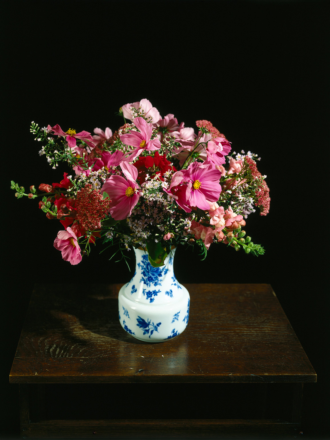 Blumen Leuchtkasten 2, 1996